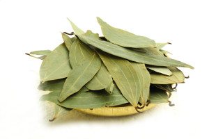 Bay Leaf