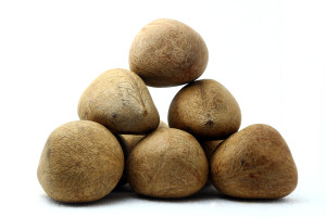 Dry Copra (Instent Cut)