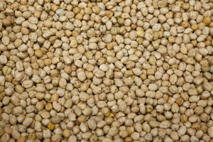 Kabul Channa (Small)