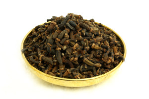 Marathi Moggu - Small