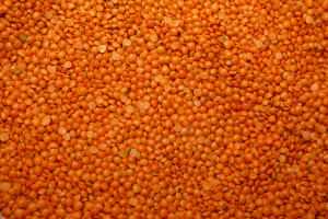 Masoor Dal