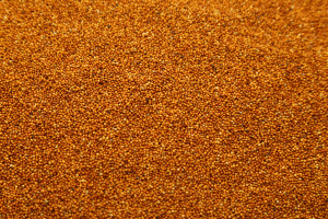 Ragi / Finger Millet