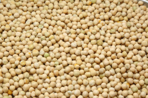White Peas