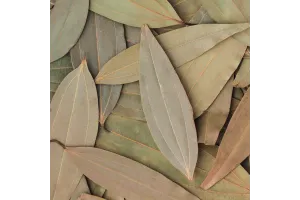 Bay Leaf Bay Leaf