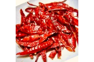 Guntur Chilli Guntur Chilli